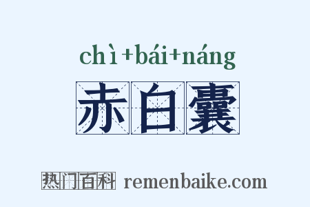 赤白囊是什么意思的图片